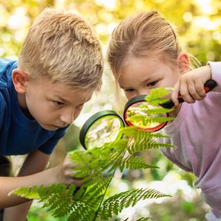 Biologická olympiáda - školské kolo